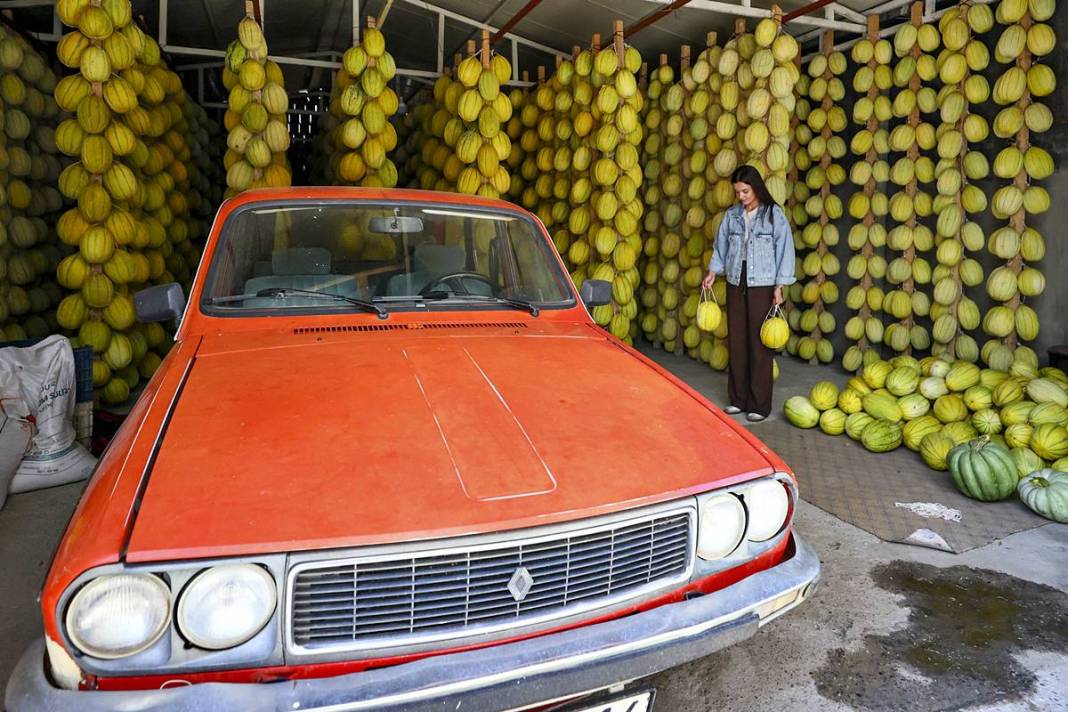 AB onaylı lezzet! Kırkağaç kavunu, kış aylarında da tezgahlarda 6